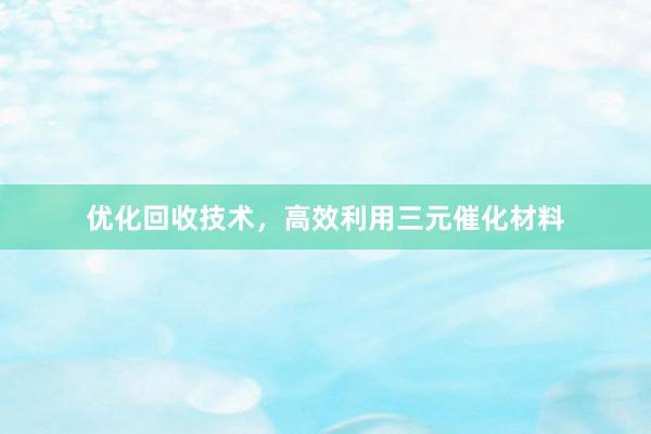 优化回收技术，高效利用三元催化材料